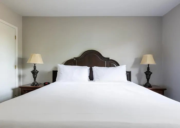 French Quarter Suites Hotel